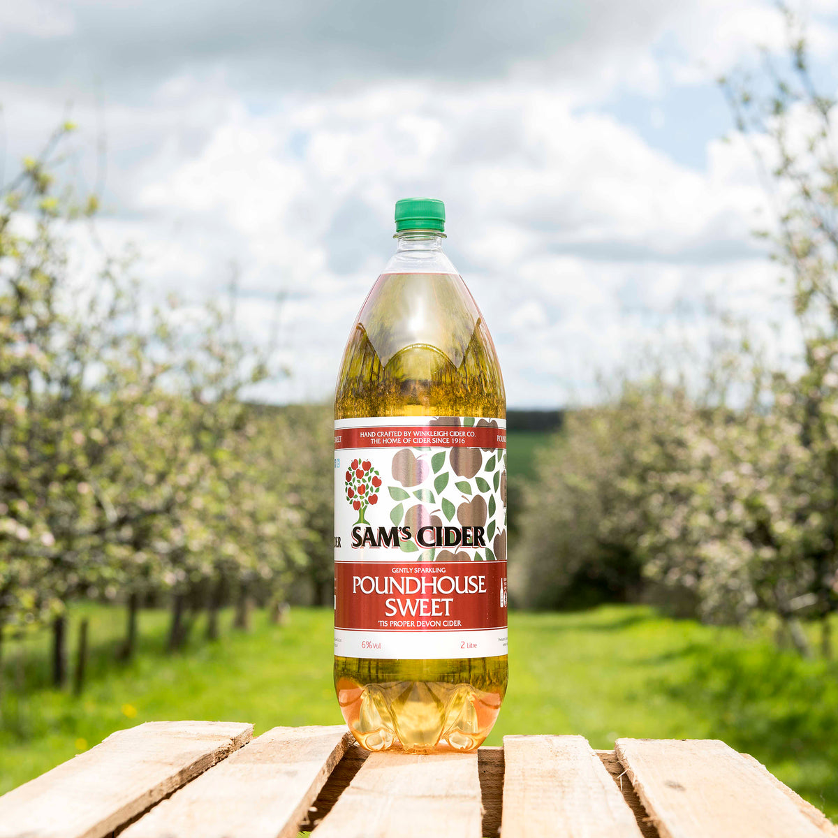 Sam’s Poundhouse Sweet (6 x 2 litre bottles) 6% ABV – Sam's Cider